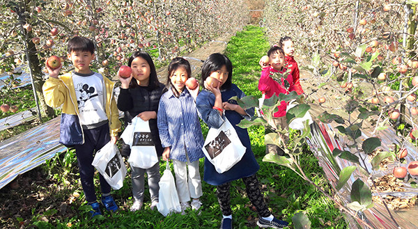 수정초 어린이들이 수확한 사과와 함께 축억에 남을 사진을 찍고 있다.
