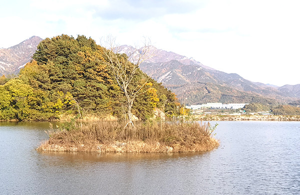 지덕저수지 전경.