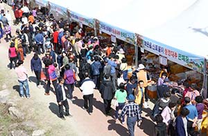 보은대추축제.