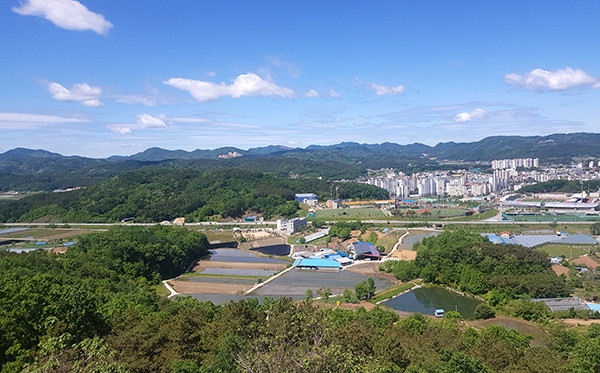 보은군이 다목적으로 활용할 종합운동장 조정 추진 계획을 세우고 예산편성을 요구할 것으로 알려진 부지.