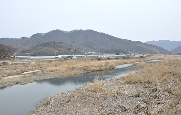 제방에서 바라본 보은읍 산성리 전경.