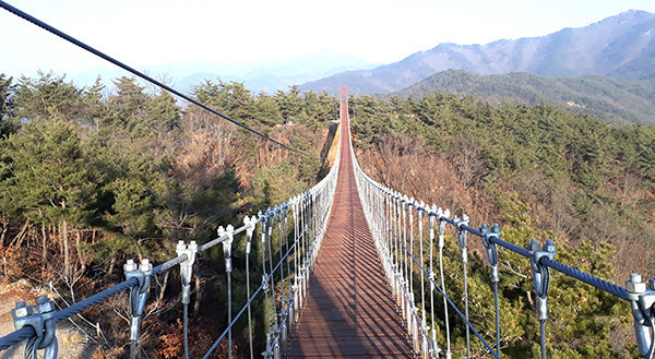 속리산 말티재 인근에 개설된 구름다리. 군은 속리산 관광활성화를 위해 조성되고 있는 보은군의 하강레포츠와 모노레일을 민간 임대 형식으로 운영할 방침이다.