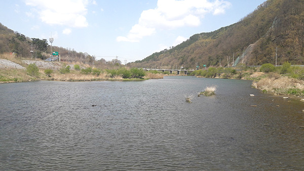 기대리에서 바라본 보청천 줄기.