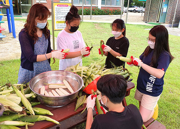 송죽초 학생들이 학교 텃밭에서 재배한 옥수수를 수확해 껍질을 벗겨내고 있다.