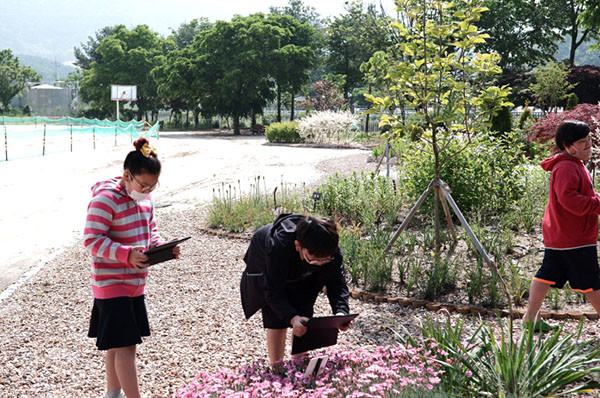 종곡초 학생들이 식물도감을 만들기 위해 학교숲을 살피며 다양한 식물을 사진으로 채집하고 있다.