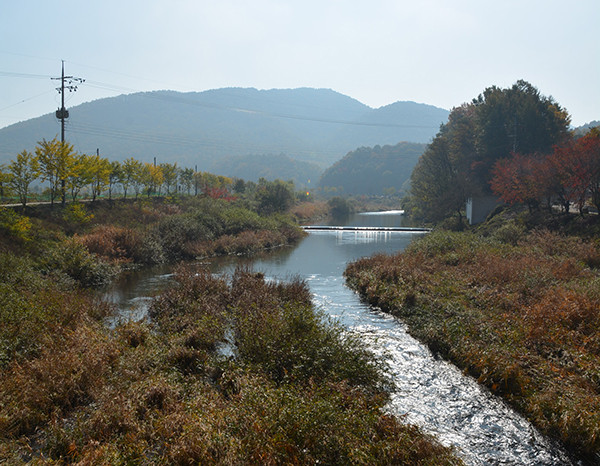 속리산에서 발원한 달천.