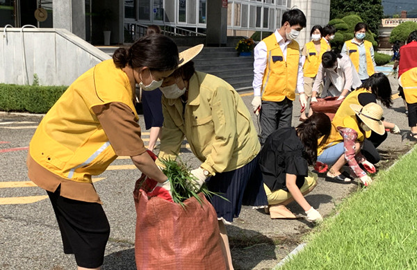 보은교육지원청 직원들이 화단의 잡초제거작업을 펼치고 있다.