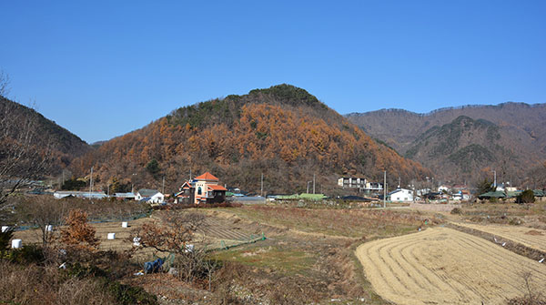 산외면 대원리 마을 전경.