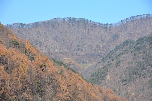 멀리 보이는 번개펀던.