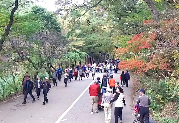 사회적 거리두기가 1단계로 완화된 가운데 지난 18일 속리산 세조길을 찾은 관광객들의 발걸음이 이어지고 있다.