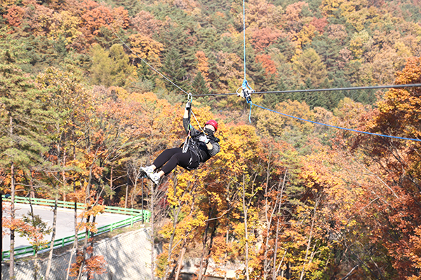 1일 개장한 속리산 말티재 집라인 시설. 전체 8개 코스(1683m) 중 일단 8코스(445m)만 부분 운영하기로 했다. 비용은 1만원.