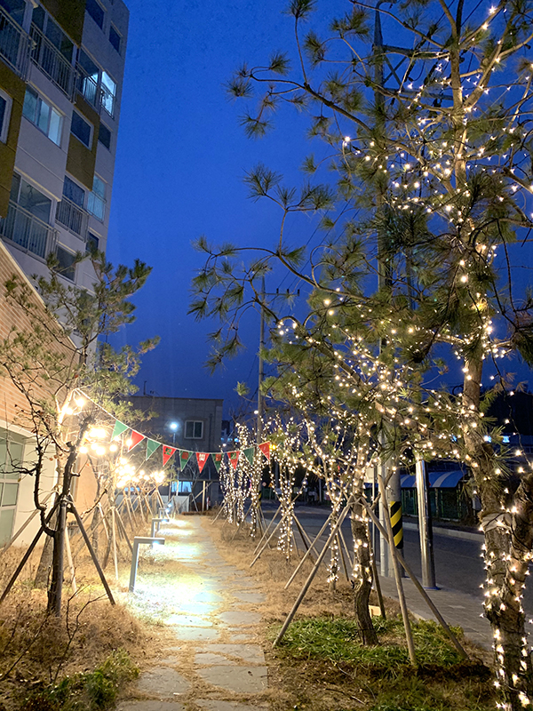 보은군실버복지관에 조상된 ‘보은빛 정원’의 불빛이 너무도 아름답다.