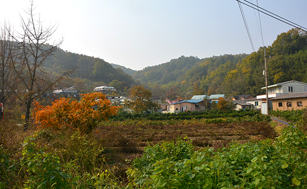 신곡리 마을 전경.