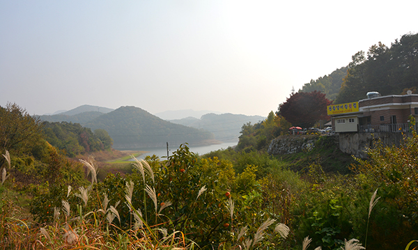 신곡리 마을앞 대청호 전경.