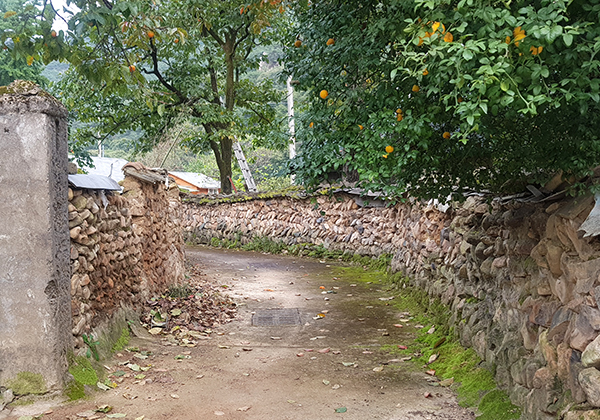 국립공원 존치마을 개선사업 대상 마을에 선정된 장안면 서원마을 돌담길.