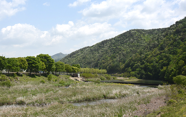 산대리 하천 전경.