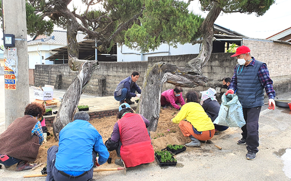 삼승면 우진리 주민들이 마을곳곳에 꽃ㅇ르 심고 있다.