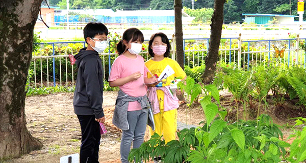 종곡초 학생들이 학교 곳곳의 식물을 살펴보며 그 특징을 이야기하고 있다.