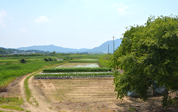 탄부면 덕동리 하천부지.