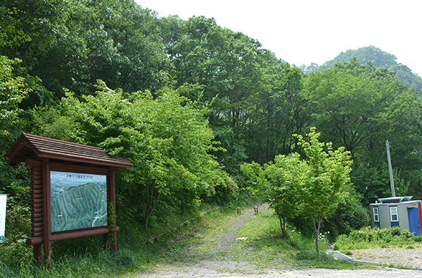 구룡산 산림욕장.