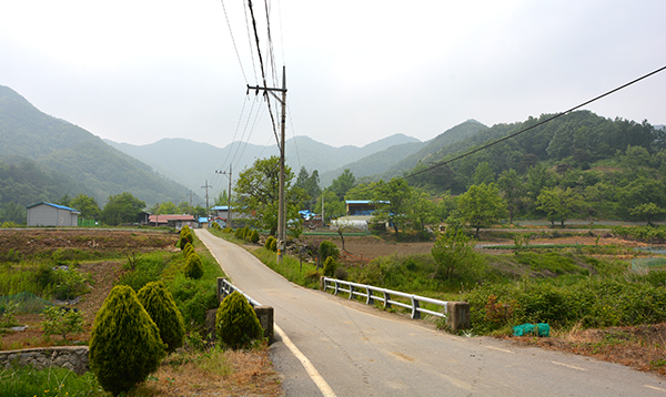 쌍암 2구 마을 전경.