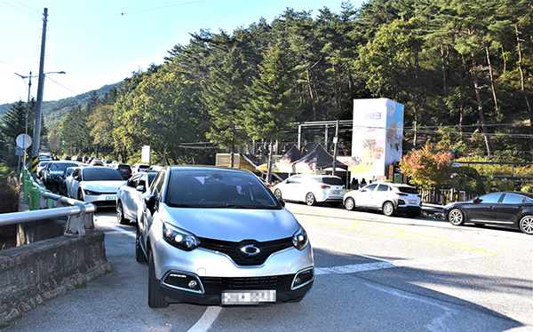 속리산테마파크를 찾은 관광객의 차량이 도로를 가득 메우고 있다.