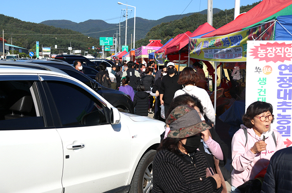 속리산 가는 길목 보은읍 성주리 도로변에 마련된 가두판매장에 대추를 사려는 관광객들이 북적이고 있다.
