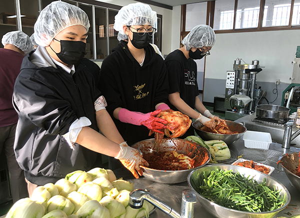 충북생명산업고 학생들이 직접지은 배추로 김장김치를 담고 있다.