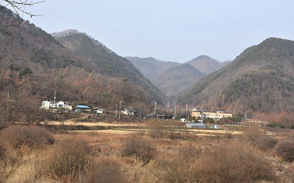 용곡리 마을 전경.