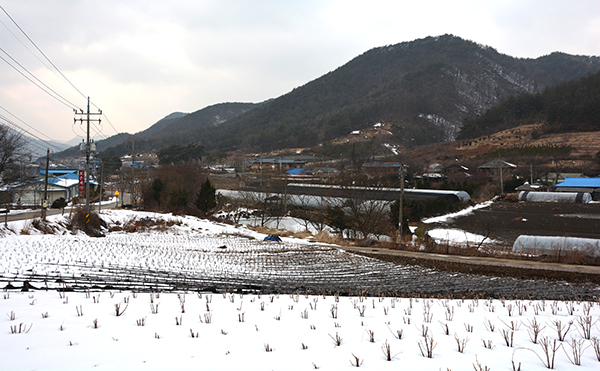 산대리앞 마을 전경.