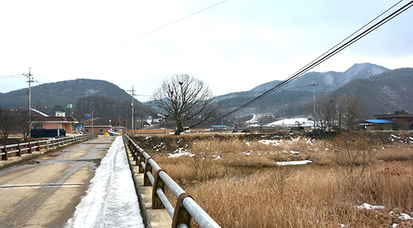 오대천과 오대리 전경.