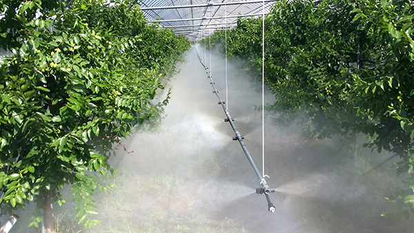 보은군농업기술센터가 2021년 특화작목분야 시범사업으로 추진한 대추 과원 무인방제 시스템을 적용한 모습.