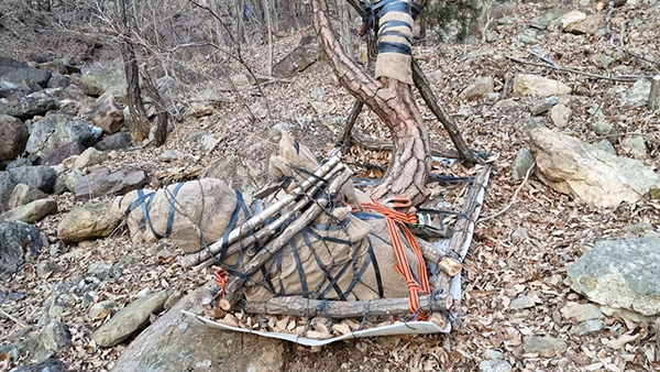 마로면 갈평리 바람골과 새암골 사이 산책로변에 불법 굴취해서 가지고 내려오던 소나무.