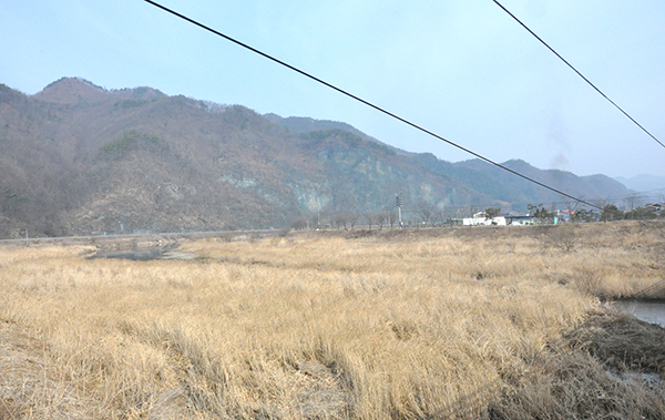 봉황리 입구에서 바라본 청벽산 전경.