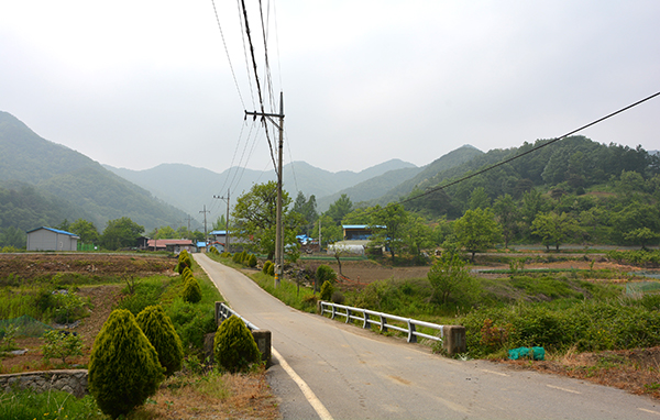 쌍암 2구 마을 전경.