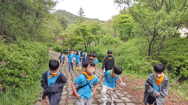 동광초 학생들이 삼년산성을 찾아 오르고 있다.