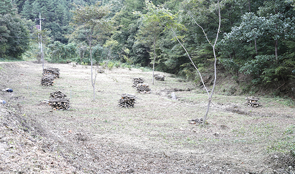 ‘반딧불이 복원사업’이 진행되고 있는 석탄1리 현지 모습.