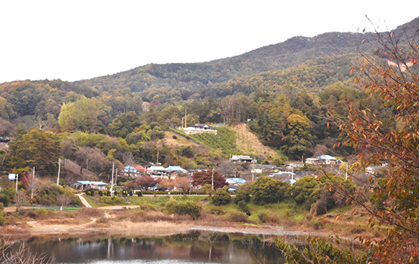 조곡리 마을 전경.