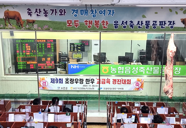 제9회 조랑우랑한우 고급육경진대회가 열린 음성축산물공판장.