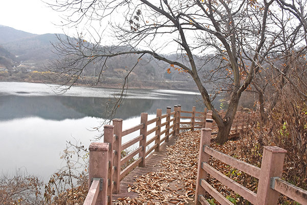 신곡리 마을 전경.