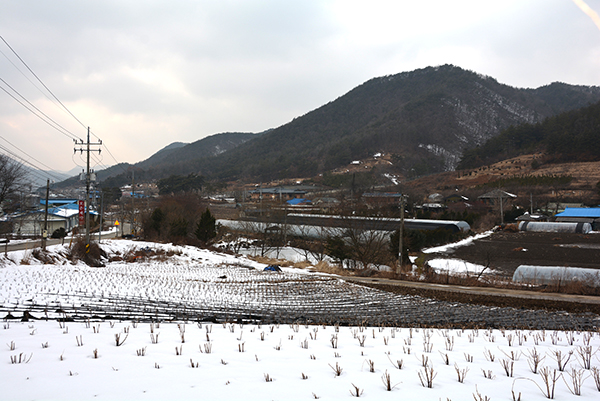 산대리앞 마을 전경.