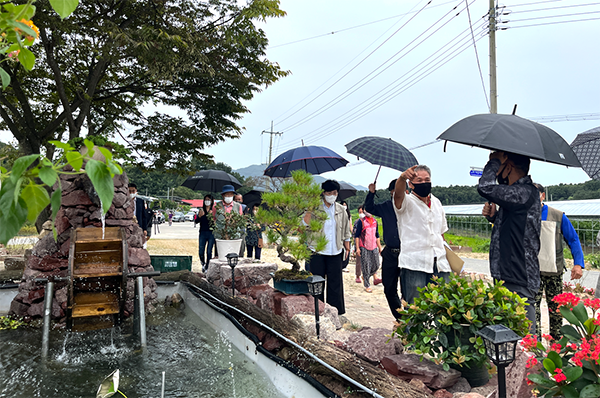 작년 충북 행복마을 사업 우수사례에 선정된 보은군 탄부면 석화리. 마을가로에 꽃길을 조성하고 마을 안길과 각 가정에 석화리 행복마을 화분을 설치해 마을 안팎이 꽃으로 가득하다.
