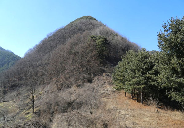 회인8경의 하나인 송정 백학의 무대가 된 송정봉.