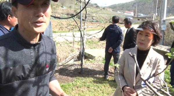 박경숙 충북도의원이 냉해피해를 본 보은군 산외면 과수농가로부터 피해 상황을 듣고 있다.