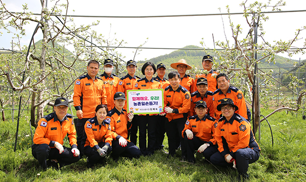 김혜숙 서장과 직원들은 내북면 창리 사과 농장을 방문하여 농촌 일손돕기를 진행했다.