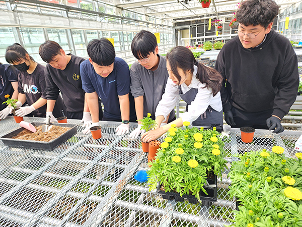 농창업 직업진로체험에 참여한 학생들이 꽃을 포트의 꽃을 화분에 옮겨심고 있다.