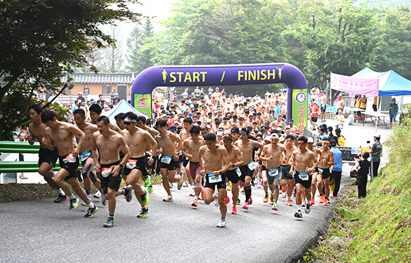 전국에서 모여든 600여명의 마라토너들이 출발신호와 함께 말티재 꼬부랑길을 힘차게 달리고 있다.