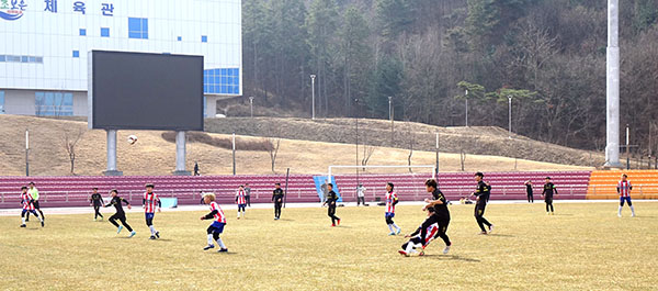 이번 주말과 다음주 주말 4일간 전국유소년 축구대회가 열릴 보은스포츠파크 공설운동장.