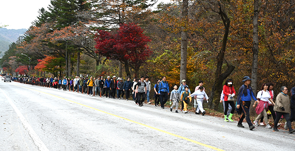 제5회 속리산둘레길 걷기축제에 참여한 이들의 행열이 이어지고 있다.