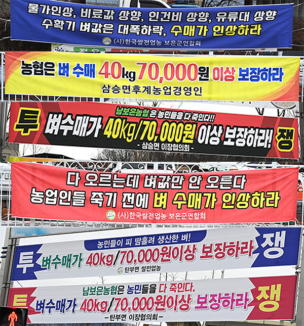 사진 : 농업인들이 내건 벼 수매가 7만원을 요구하는 현수막이 곳곳에 걸려있다.